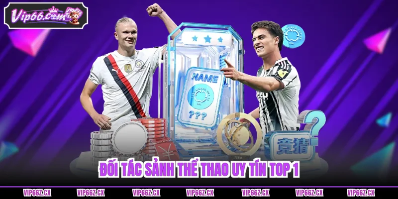 Đối tác sảnh Thể Thao Vip66 uy tín top 1